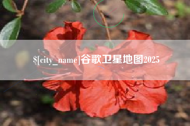尉氏谷歌卫星地图2025