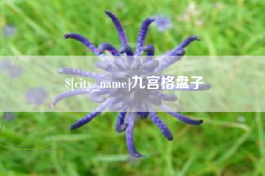 尉氏九宫格盘子