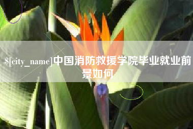 尉氏中国消防救援学院毕业就业前景如何