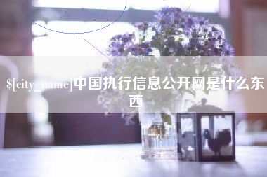 尉氏中国执行信息公开网是什么东西
