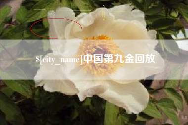尉氏中国第九金回放