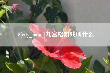 尉氏九宫格游戏叫什么