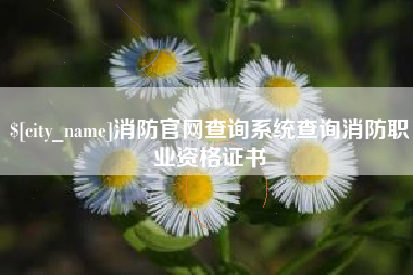 尉氏消防官网查询系统查询消防职业资格证书