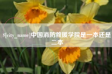 尉氏中国消防救援学院是一本还是二本