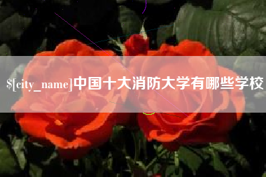 尉氏中国十大消防大学有哪些学校