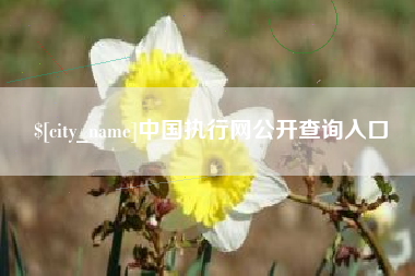 尉氏中国执行网公开查询入口