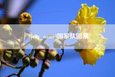 尉氏国家队图案