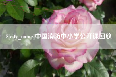 尉氏中国消防中小学公开课回放