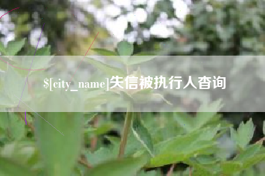 尉氏失信被执行人杳询