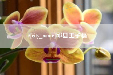 尉氏邱县王子磊