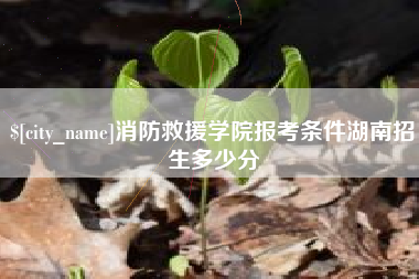 尉氏消防救援学院报考条件湖南招生多少分