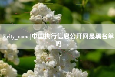 尉氏中国执行信息公开网是黑名单吗