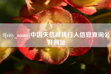 尉氏中国失信被执行人信息查询公开网址