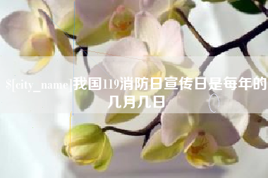 尉氏我国119消防日宣传日是每年的几月几日