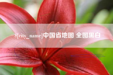 尉氏中国省地图 全图黑白