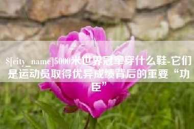尉氏5000米世界冠军穿什么鞋-它们是运动员取得优异成绩背后的重要“功臣”