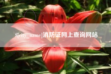 尉氏消防证网上查询网站