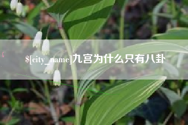 尉氏九宫为什么只有八卦