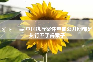 尉氏中国执行案件查询公开网都是执行不了得案子