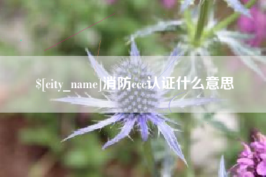 尉氏消防ccc认证什么意思