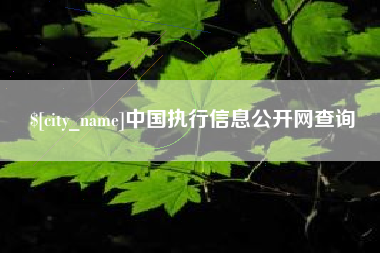 尉氏中国执行信息公开网查询