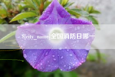尉氏全国消防日哪一