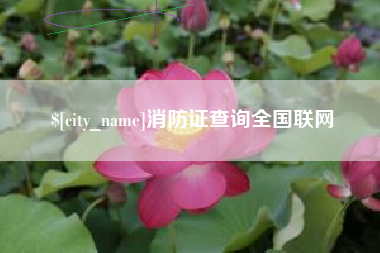 尉氏消防证查询全国联网