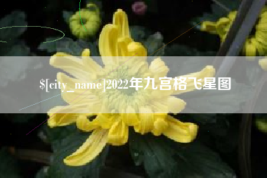 尉氏2022年九宫格飞星图