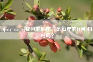 尉氏我国的消防日是每年的11月9日对吗？