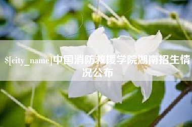 尉氏中国消防救援学院湖南招生情况公布