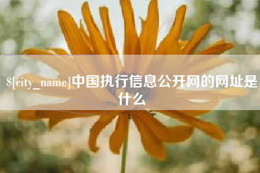 尉氏中国执行信息公开网的网址是什么
