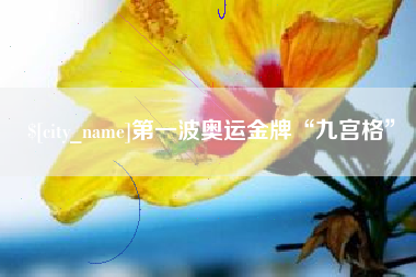 尉氏第一波奥运金牌“九宫格”
