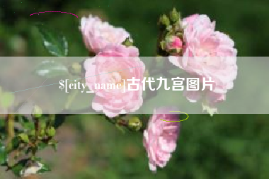 尉氏古代九宫图片