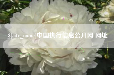 尉氏中国执行信息公开网 网址