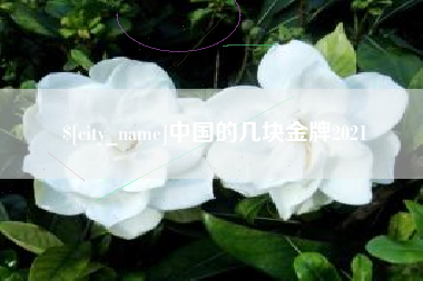 尉氏中国的几块金牌2021