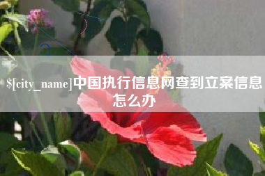 尉氏中国执行信息网查到立案信息怎么办