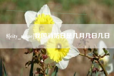 尉氏我国消防日是几月几日几日