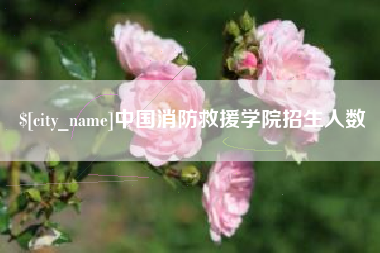 尉氏中国消防救援学院招生人数