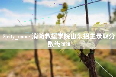 尉氏消防救援学院山东招生录取分数线2020