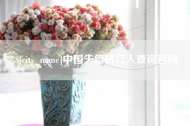 尉氏中国失信执行人查询官网