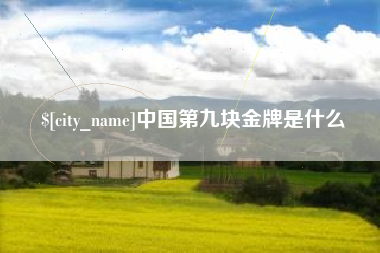 尉氏中国第九块金牌是什么