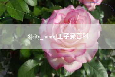 尉氏王子豪百科