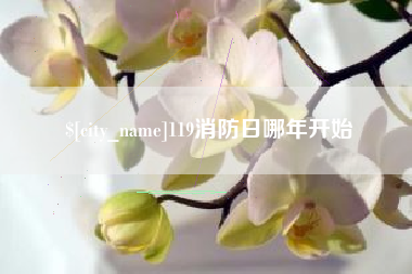 尉氏119消防日哪年开始