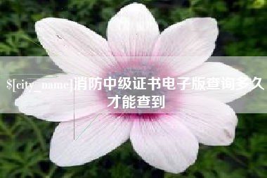 尉氏消防中级证书电子版查询多久才能查到