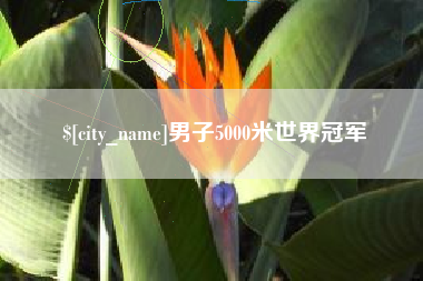尉氏男子5000米世界冠军