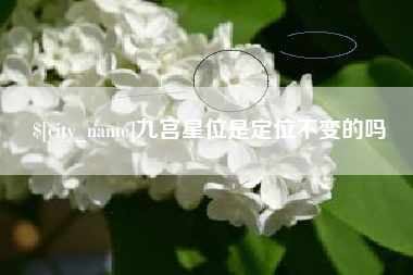 尉氏九宫星位是定位不变的吗