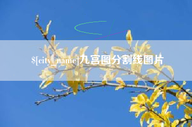 尉氏九宫图分割线图片