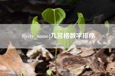 尉氏九宫格数字排序