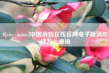 尉氏中国消防在线官网电子版消防证怎么查询
