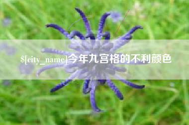 尉氏今年九宫格的不利颜色